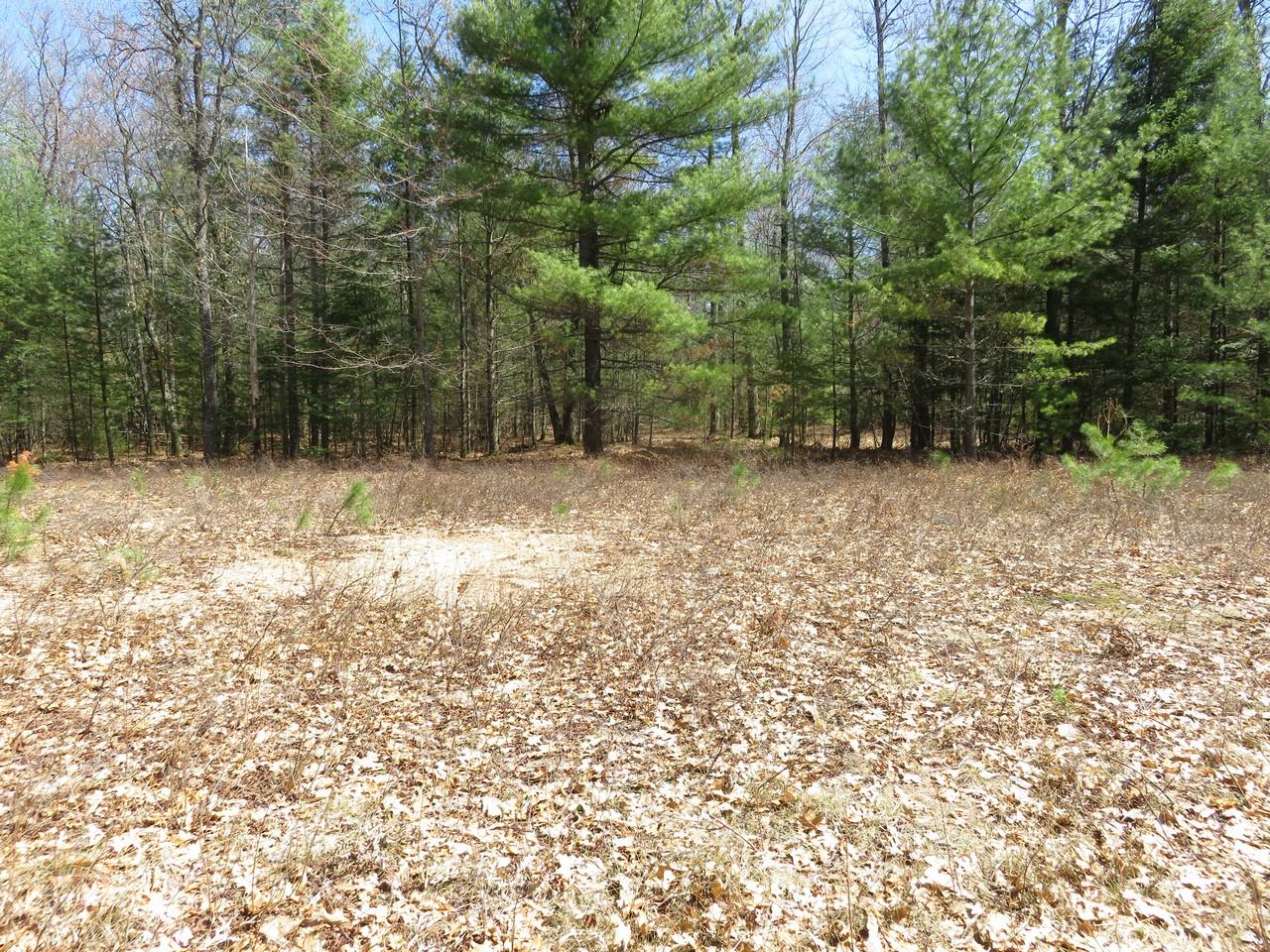 6948 Military Road Three Lakes, WI 54562 - Photo 9 of 13 Gallery Image 9