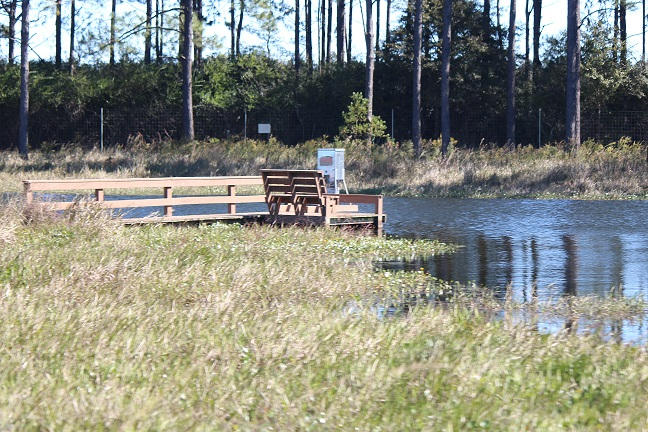 1316 Brown Road DeFuniak Springs, FL 32433 - Photo 26 of 51 Stocked lakes with feeders