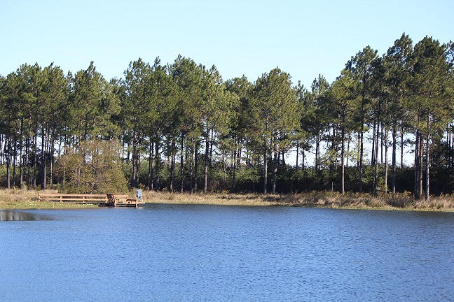 1316 Brown Road DeFuniak Springs, FL 32433 - Photo 28 of 51 Ready to be fished