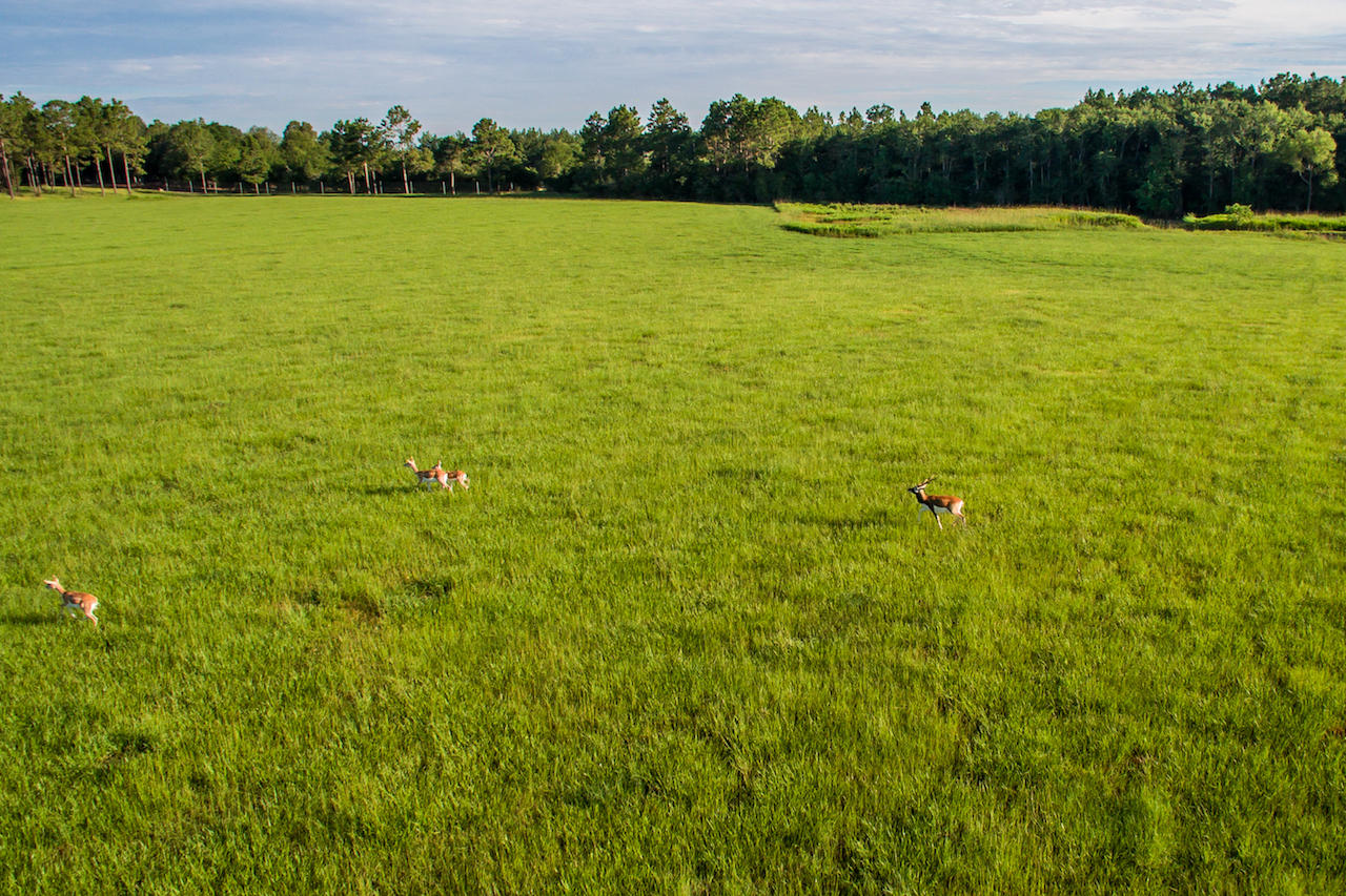 1316 Brown Road DeFuniak Springs, FL 32433 - Photo 34 of 51 19