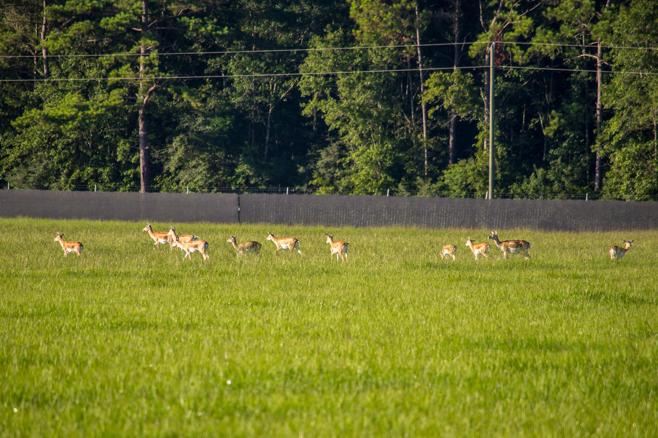 1316 Brown Road DeFuniak Springs, FL 32433 - Photo 36 of 51 21