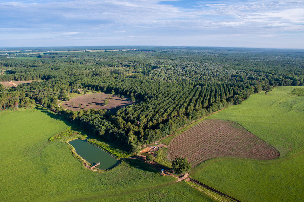 1316 Brown Road DeFuniak Springs, FL 32433 - Photo 38 of 51 23