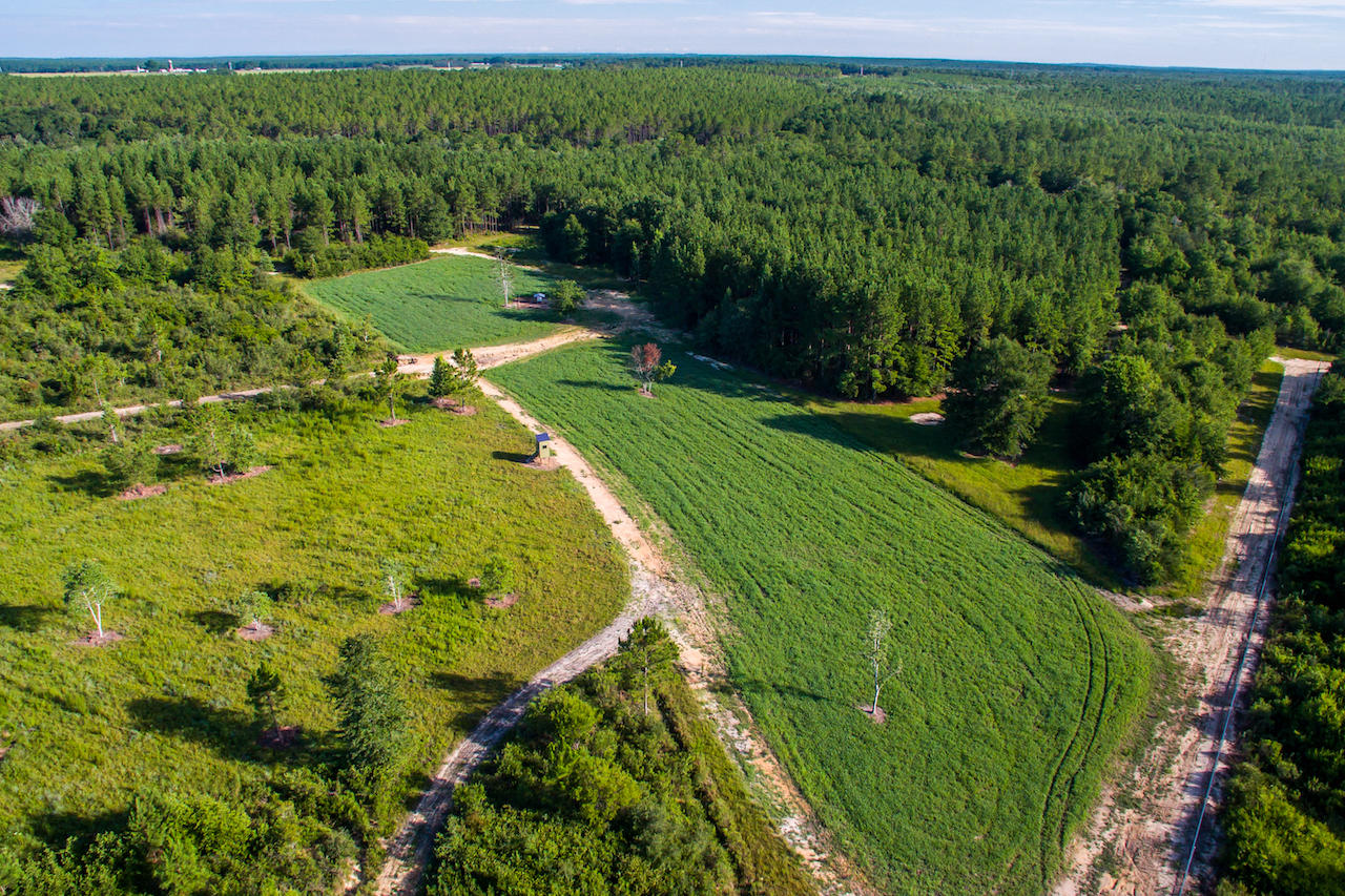 1316 Brown Road DeFuniak Springs, FL 32433 - Photo 40 of 51 24