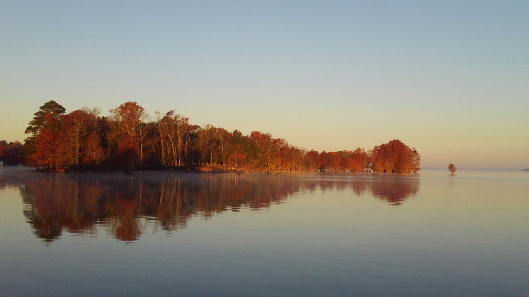 138 State Rd S-38-1754 Eutawville, SC 29048 - Photo 74 of 77