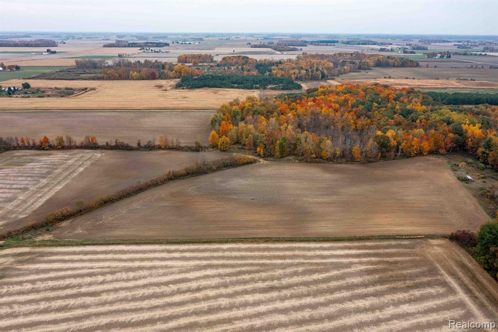0 Wood Road Marlette, MI 48453 - Photo 5 of 20
