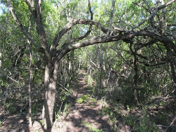 $299,000 | 316 Cr 175, Sandia, TX 78383