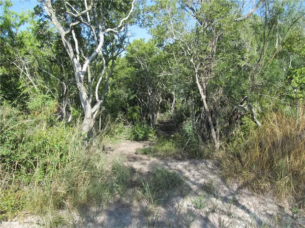 $299,000 | 316 Cr 175, Sandia, TX 78383