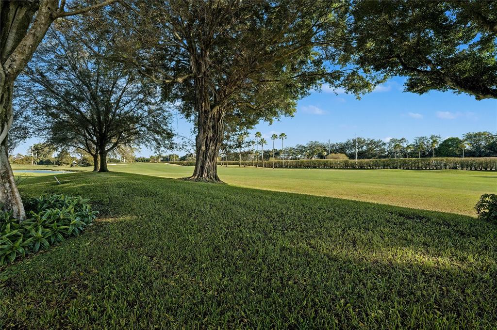 9520 South Hollybrook Lake Drive, Unit 103 Pembroke Pines, FL 33025 - Photo 16 of 55 a view of a garden with an trees