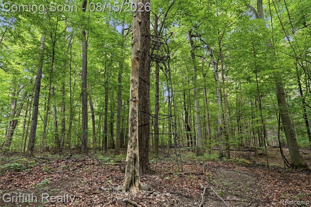3304 East Vienna Road Clio, MI 48420 - Photo 70 of 85 Gallery Image 70