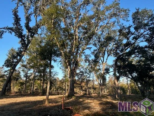 $72,900 | 14245 Old River Road, Maurepas, LA 70449