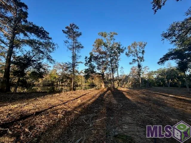 $72,900 | 14245 Old River Road, Maurepas, LA 70449