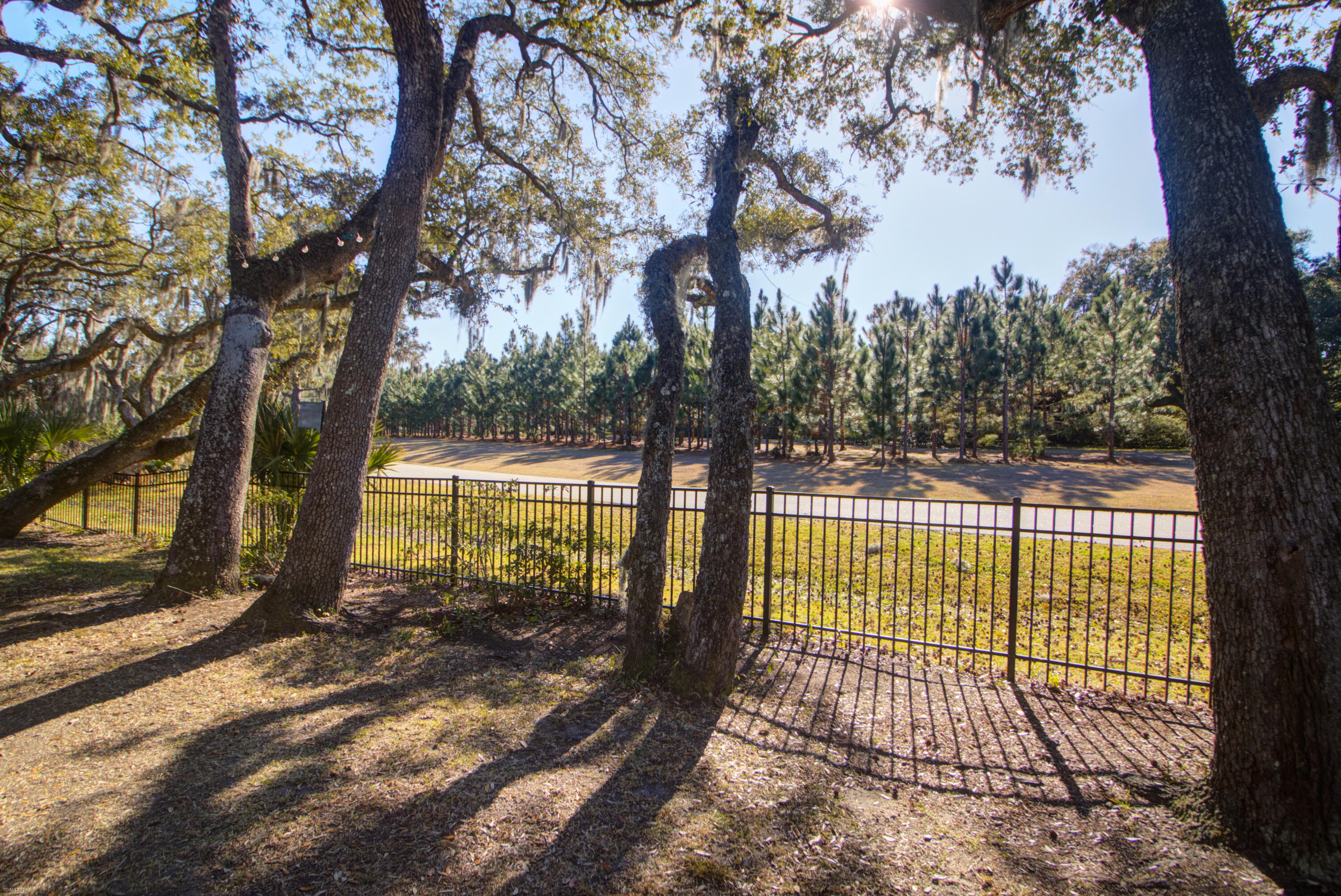 48 Colleton Drive Charleston, SC 29407 - Photo 25 of 41 48 Colleton -Tidalcreekphoto- (31)