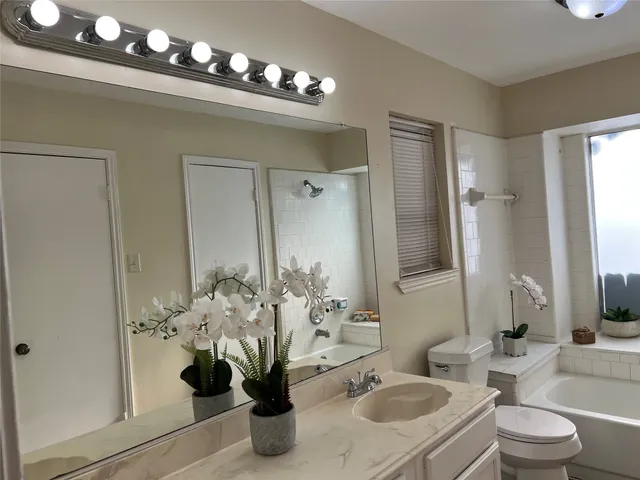 a bathroom with a toilet a sink and a large mirror