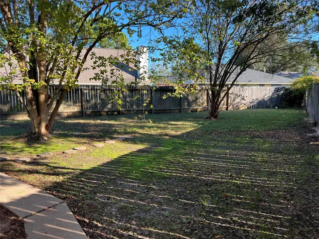 a view of a yard with plants and large trees