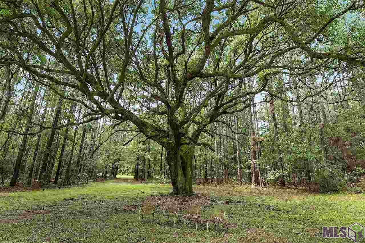 4382 River Road Clinton, LA 70722 - Photo 6 of 12 Gallery Image 6