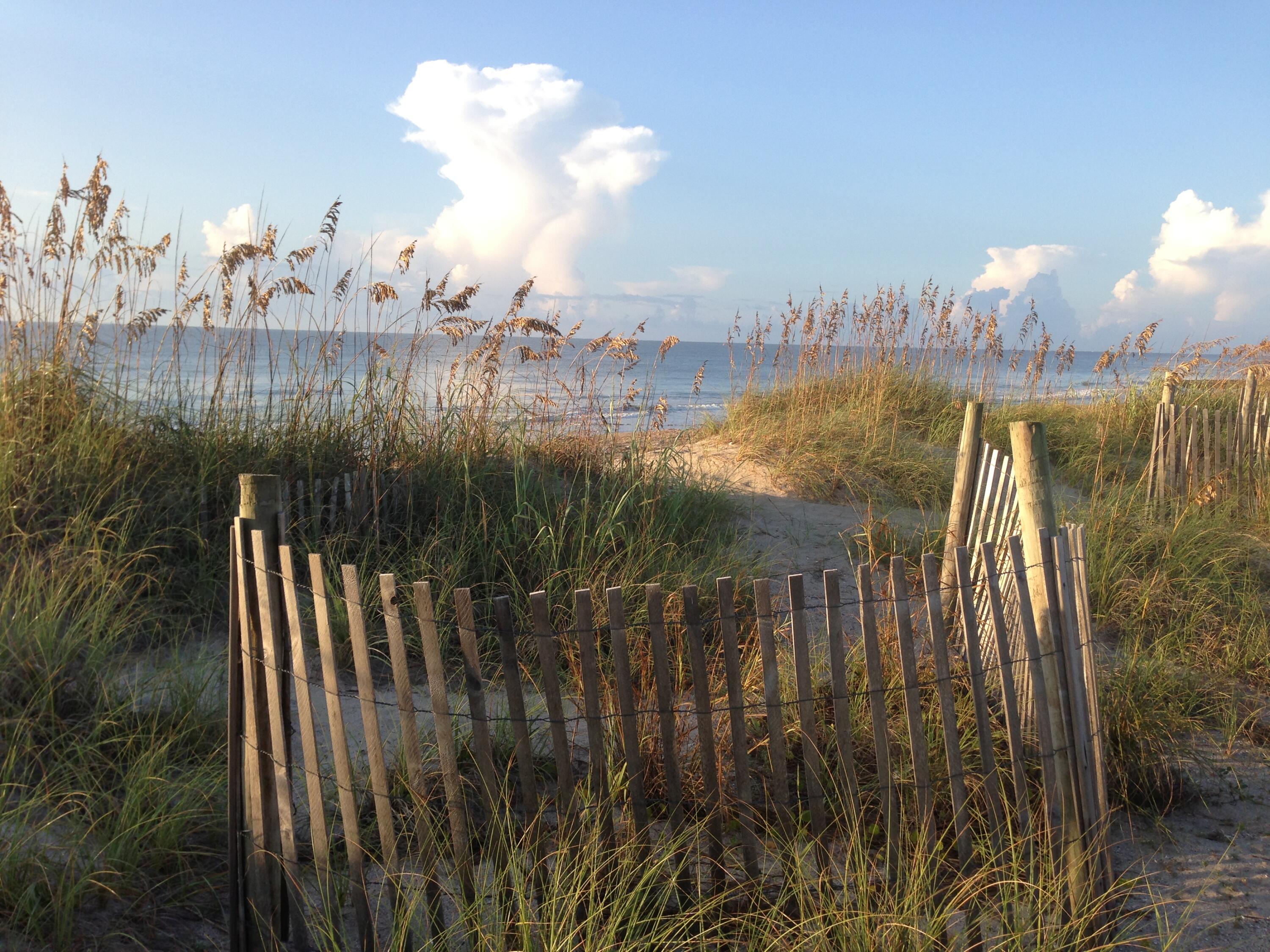 209 Jungle Road Edisto Island, SC 29438 - Photo 8 of 50 1a