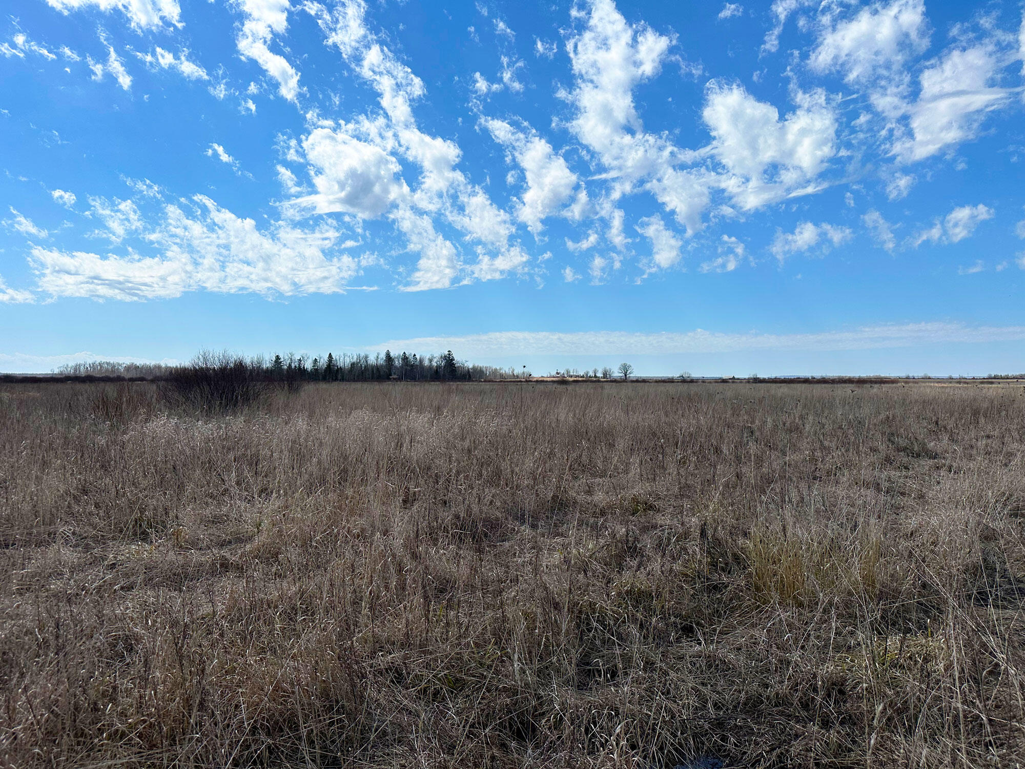 23 West 23 Mile Road Pickford, MI 49774 - Photo 8 of 14 Gallery Image 8