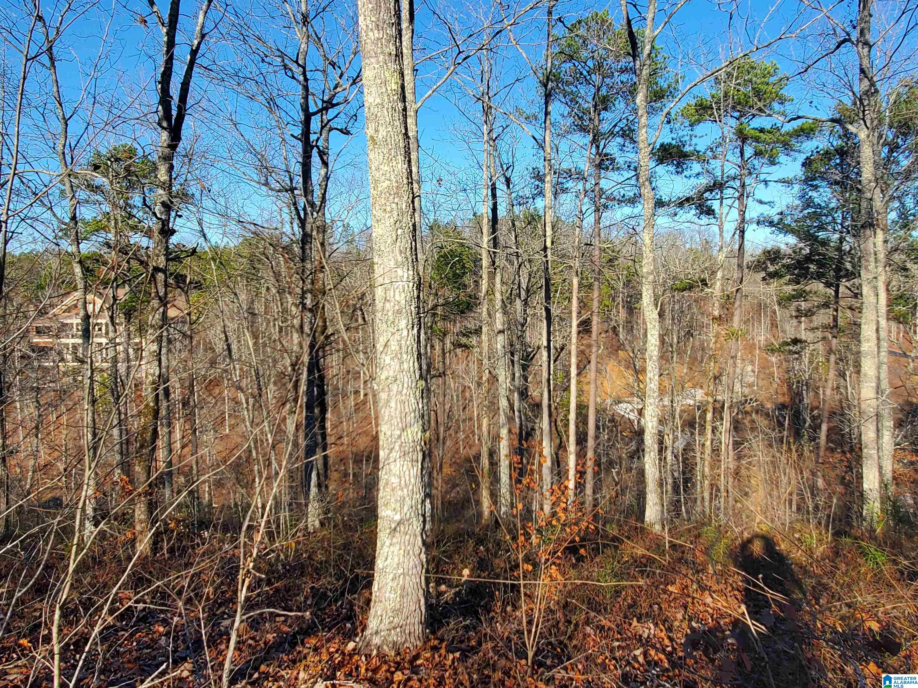 Lot 17 Dogwood Ridge, Unit 17 Wedowee, AL 36278 - Photo 12 of 12 Gallery Image 12