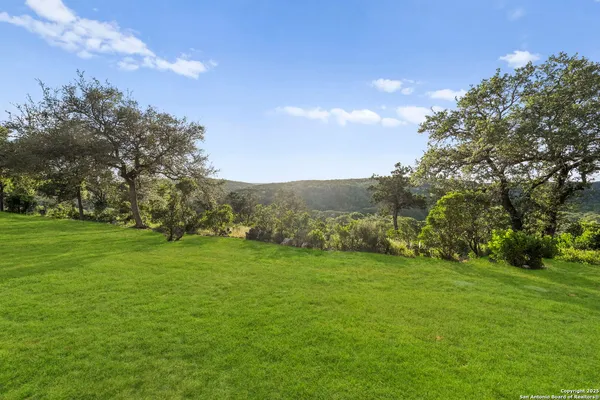 a view of a grassy field with trees