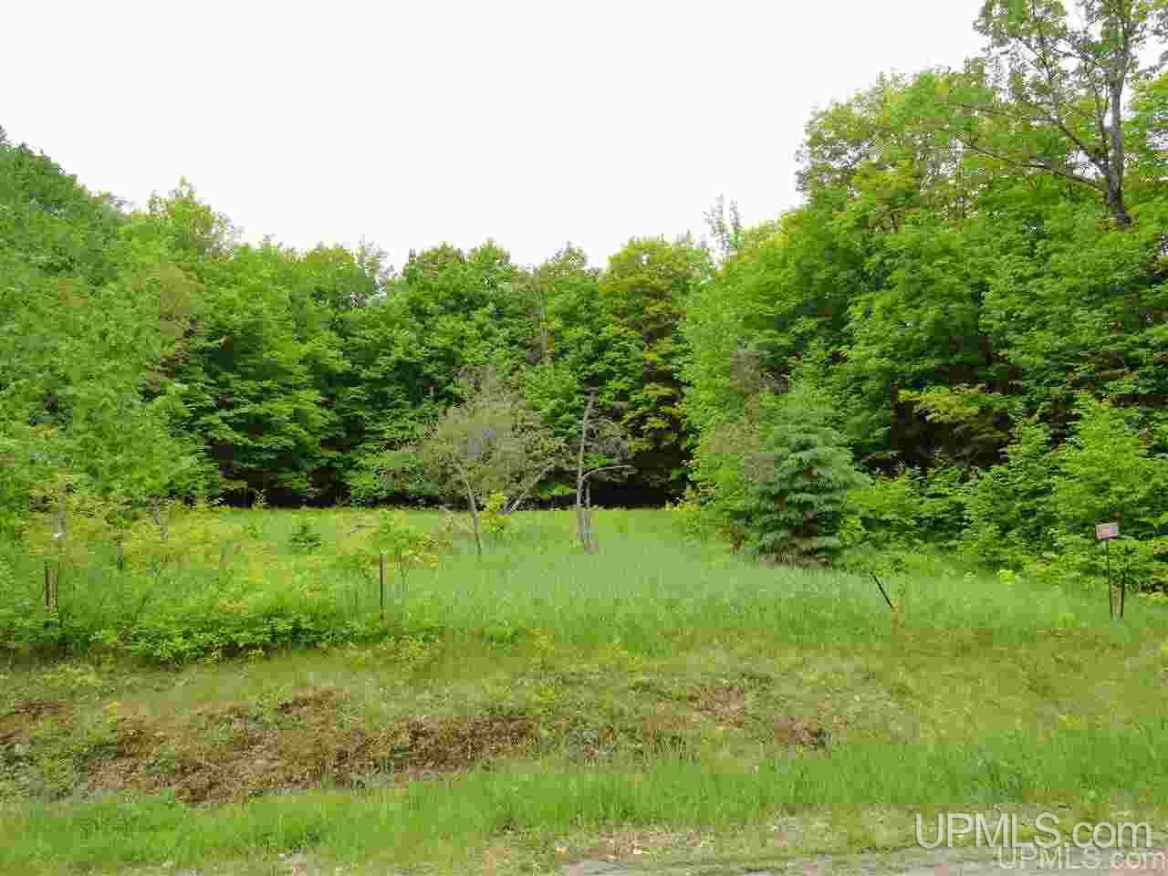 80-acres Dog Patch Road Lanse, MI 49946 - Photo 40 of 50 Gallery Image 40