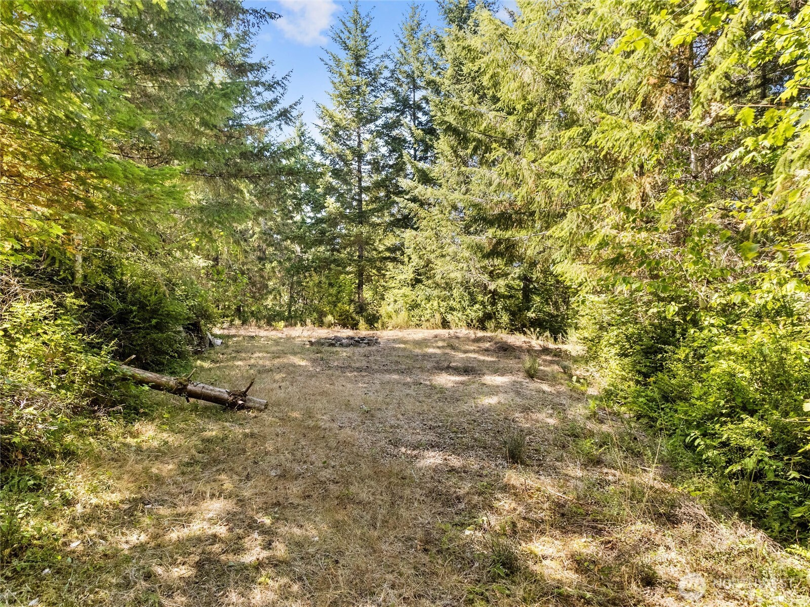 1571 Northeast Bear Ridge Road Belfair, WA 98528 - Photo 34 of 40 Gallery Image 34