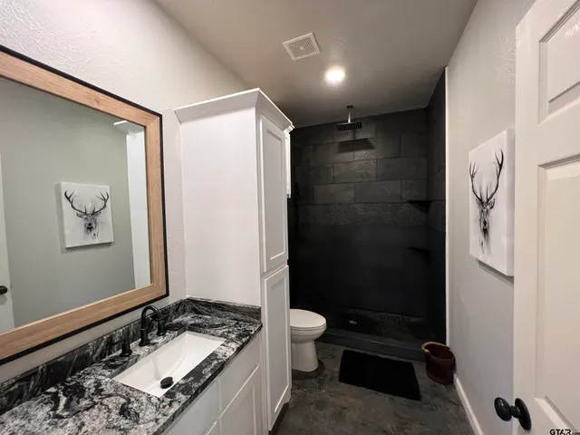 a bathroom with a granite countertop sink toilet and shower