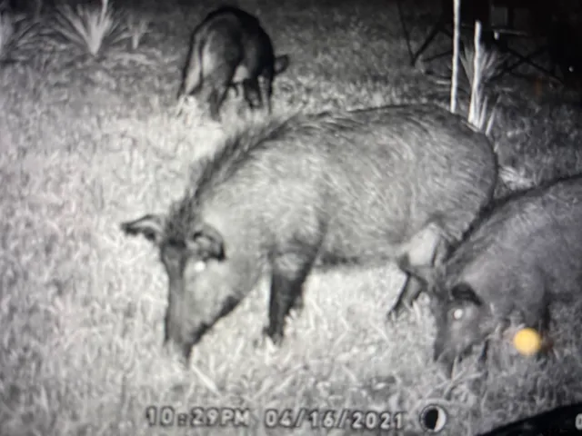 a close up of a sink
