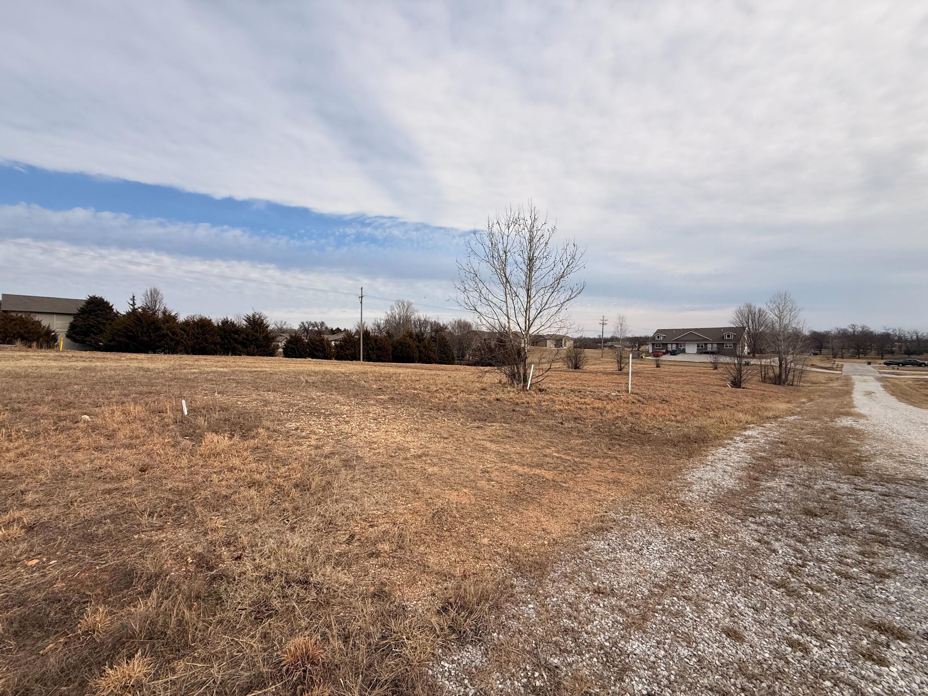 0 Raintree Circle Joplin, MO 64804 - Photo 10 of 26 IMG_8677