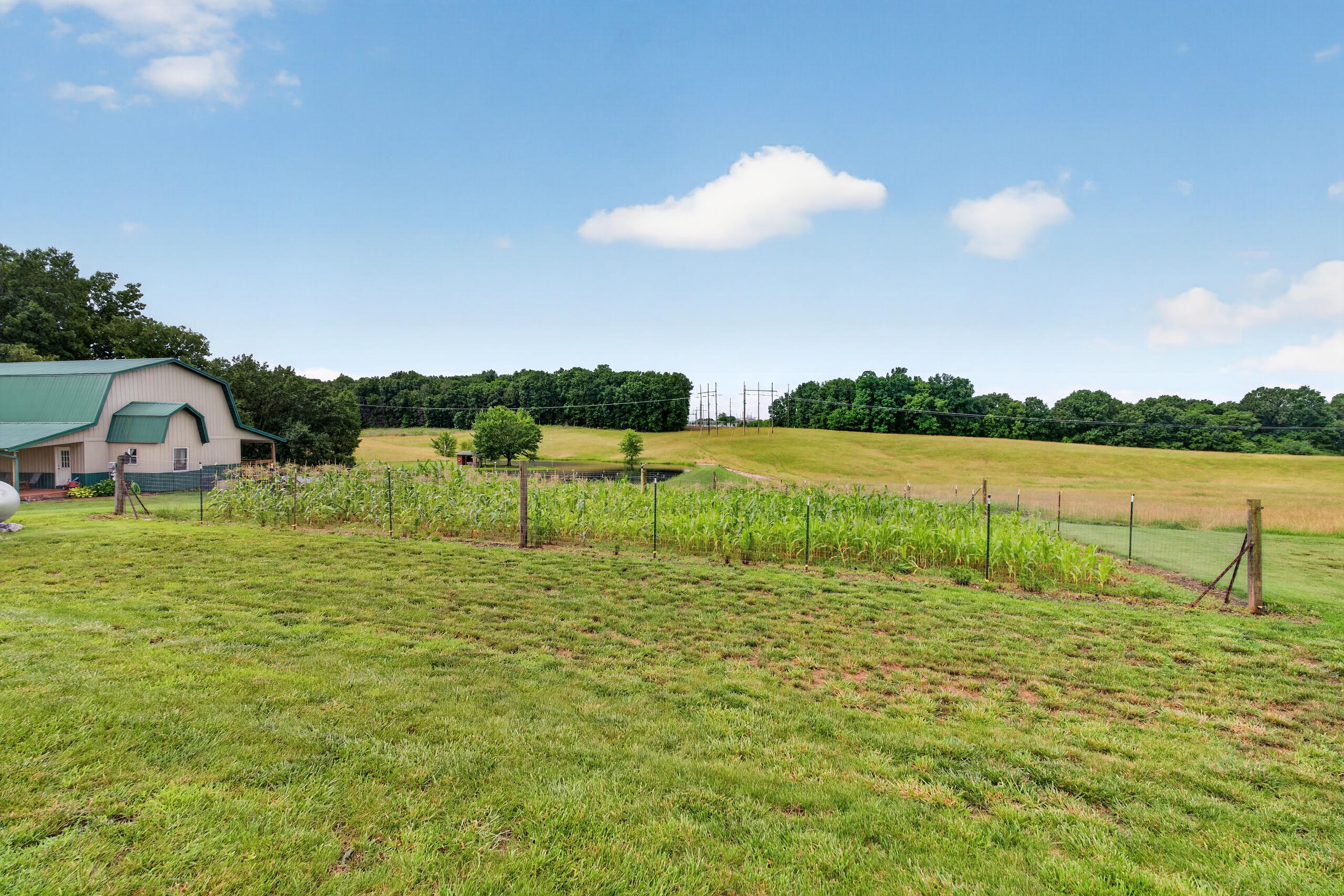 848 Paradise Road Grand Rivers, KY 42045 - Photo 74 of 75 DSC00416