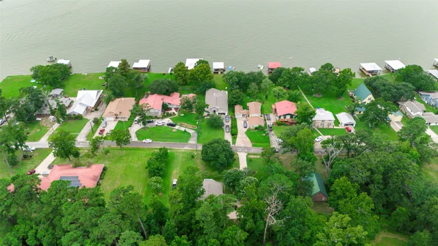 a view of a flower in a garden