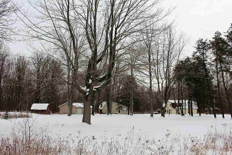 1731 Wieman Road Beaverton, MI 48612 - Photo 1 of 48