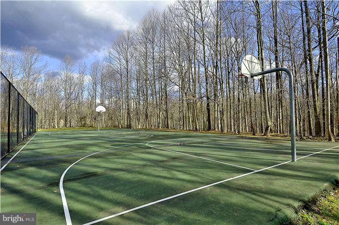 11204 Chestnut Grove Square, Unit 205 Reston, VA 20190 - Photo 14 of 25 Condominium Association Tennis Courts