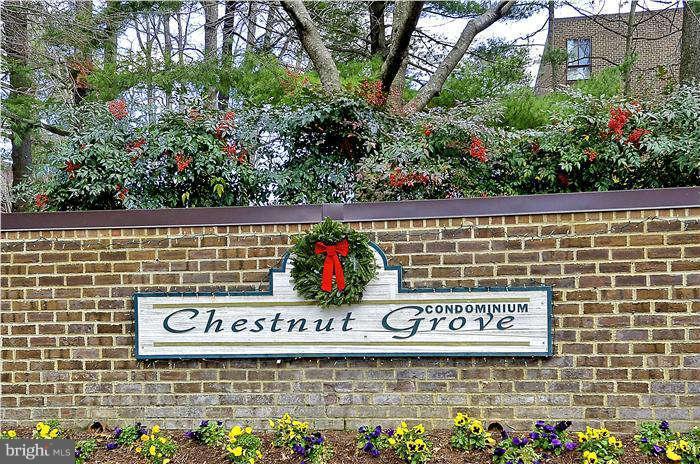11204 Chestnut Grove Square, Unit 205 Reston, VA 20190 - Photo 15 of 25 Entry to Condominium Complex