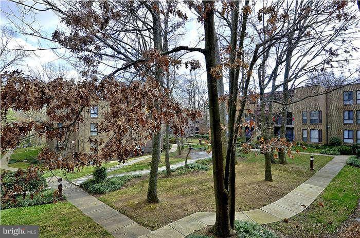 11204 Chestnut Grove Square, Unit 205 Reston, VA 20190 - Photo 17 of 25 Courtyard View from Patio