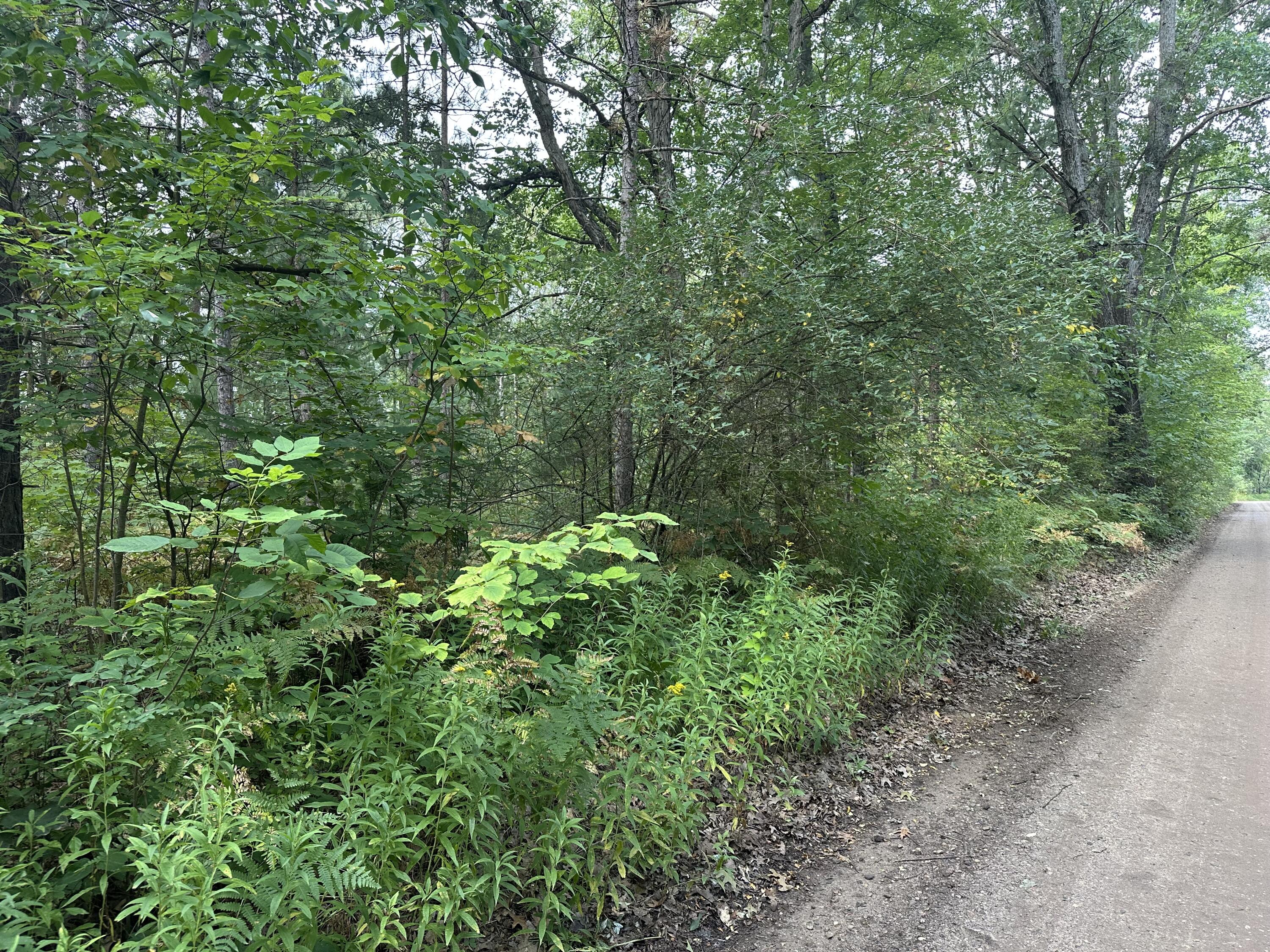 Beaver Road Bitely, MI 49309 - Photo 12 of 12 IMG_9438
