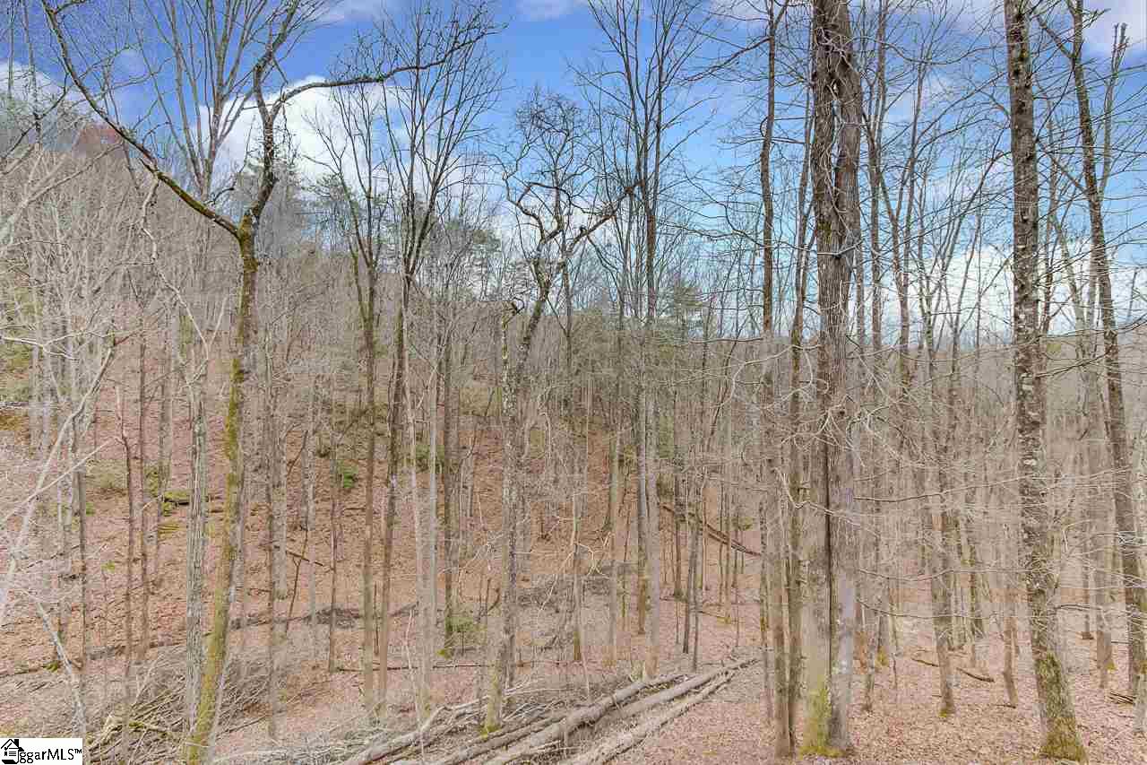 628 Holly Springs School Road Pickens, SC 29671 - Photo 7 of 27 Gallery Image 7