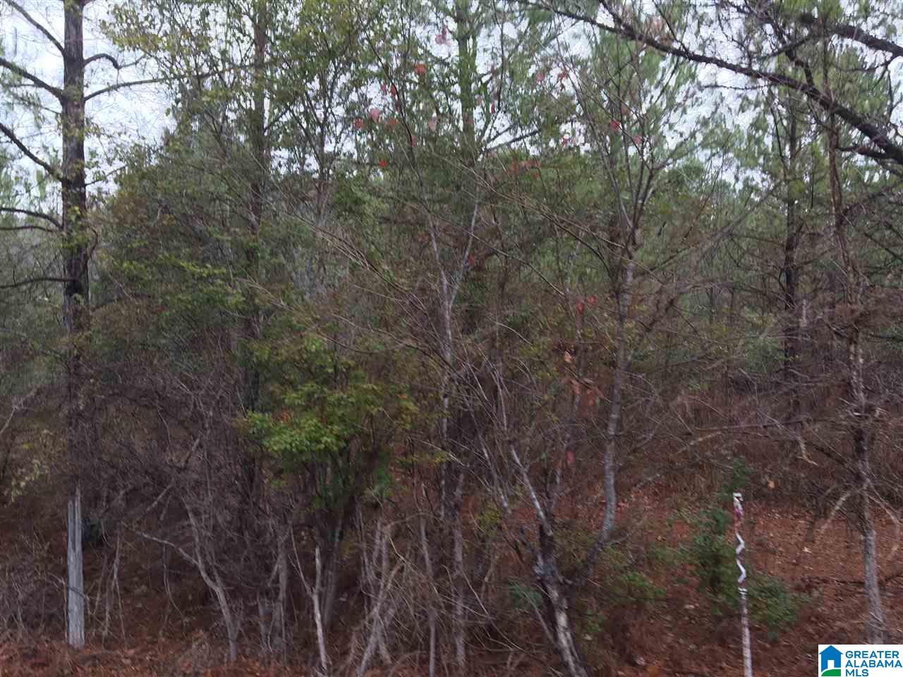 Old Choccolocco Road, Unit 97 Weaver, AL 36277 - Photo 23 of 27