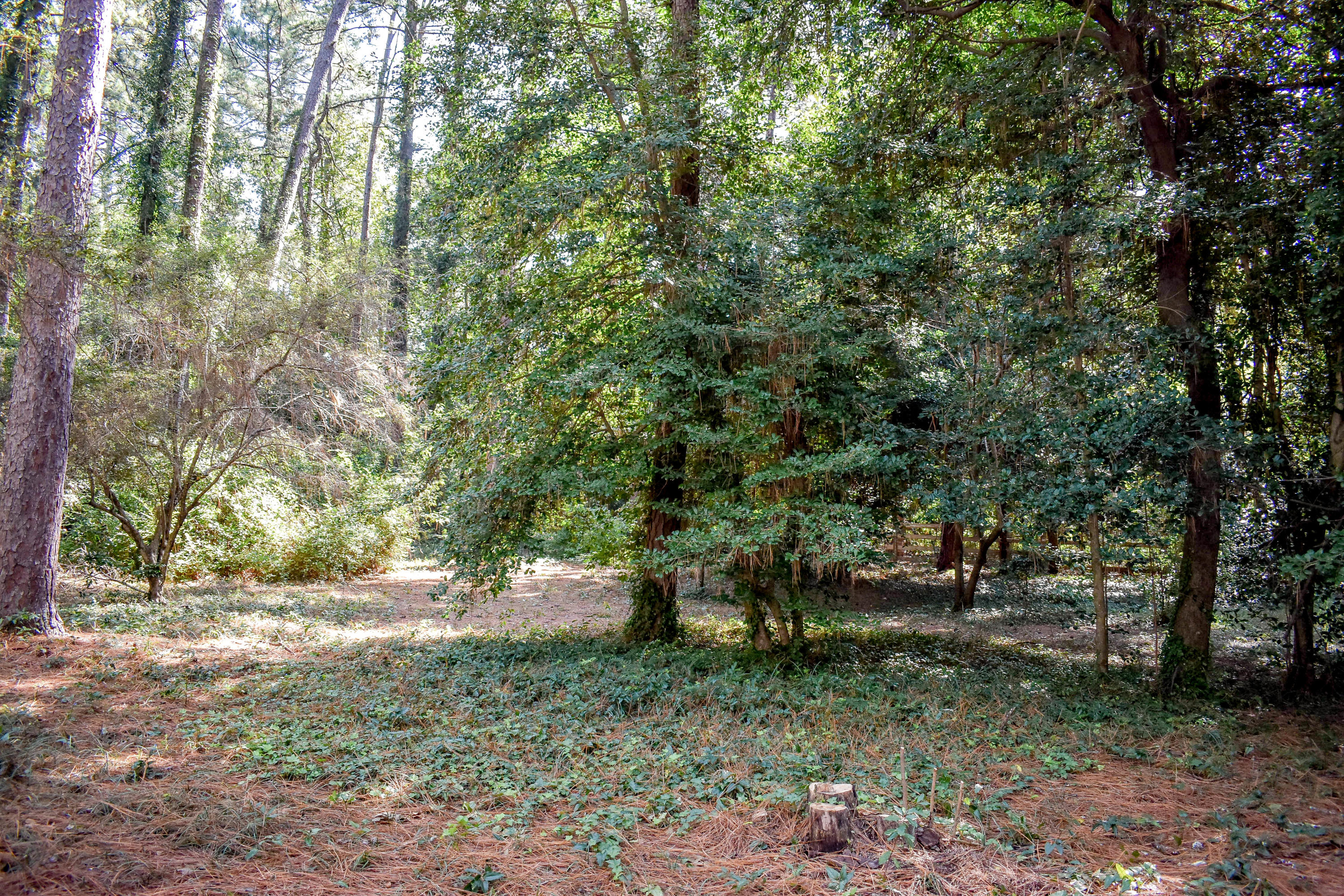 155 North Valley Road Southern Pines, NC 28387 - Photo 20 of 49 N Valley Rd (20)