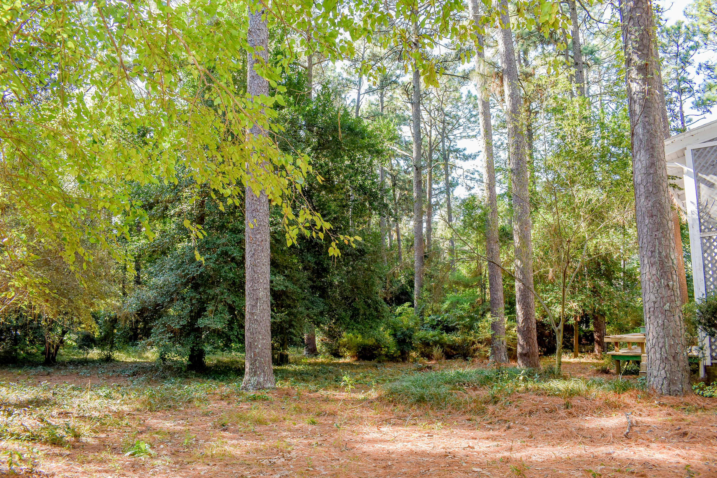 155 North Valley Road Southern Pines, NC 28387 - Photo 21 of 49 N Valley Rd (21)
