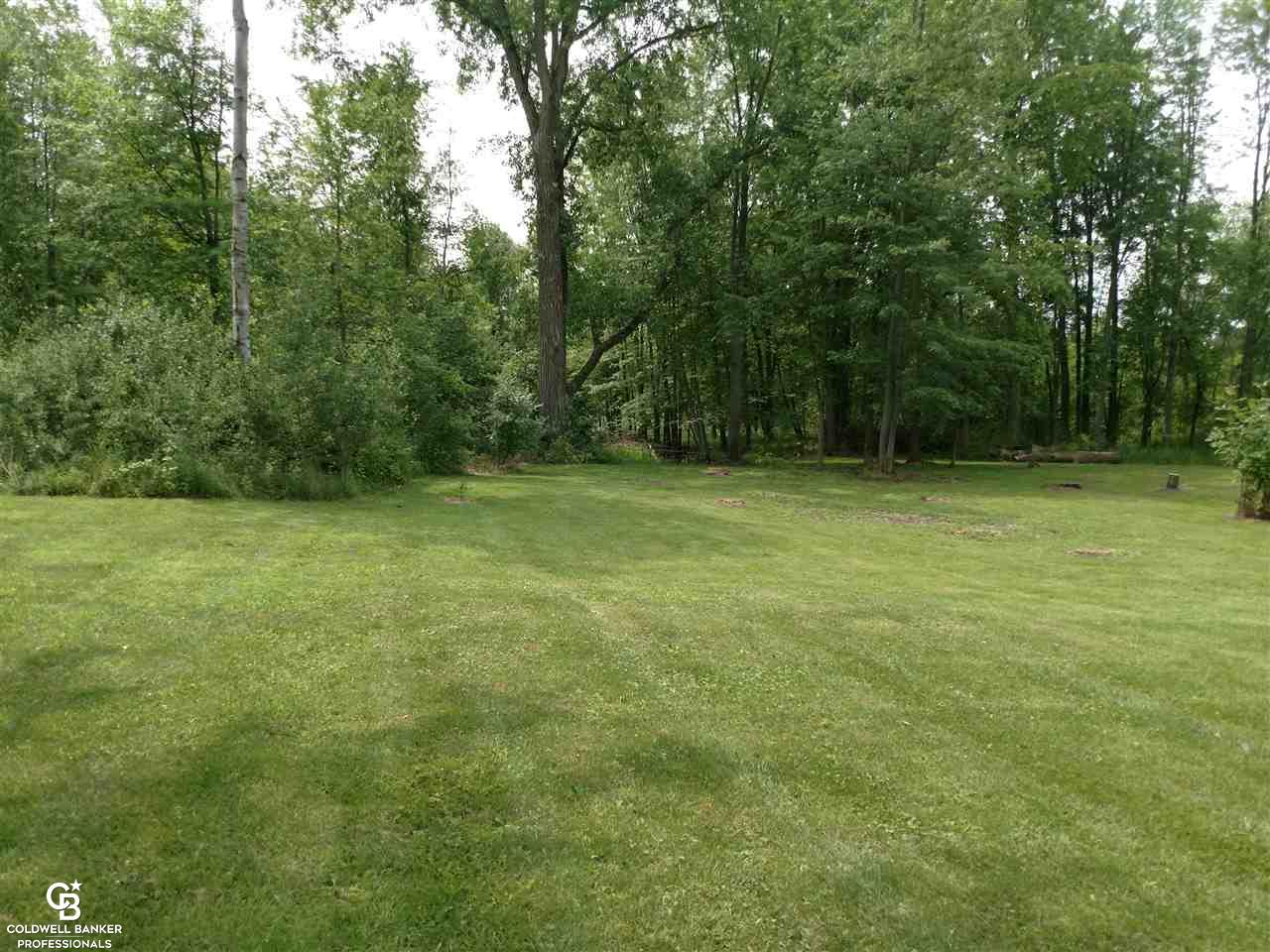 100 East Galbraith Line Road Melvin, MI 48454 - Photo 31 of 34 Backyard View 2