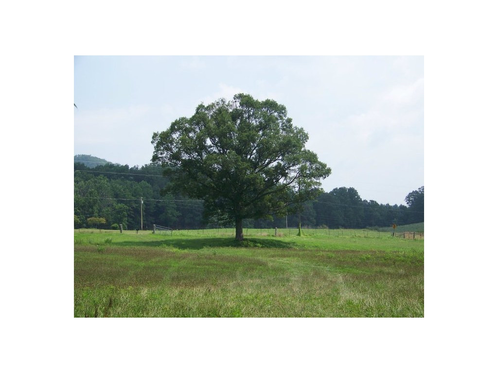 5967 Houston Valley Road Greeneville, TN 37743 - Photo 1 of 12 Photo 1