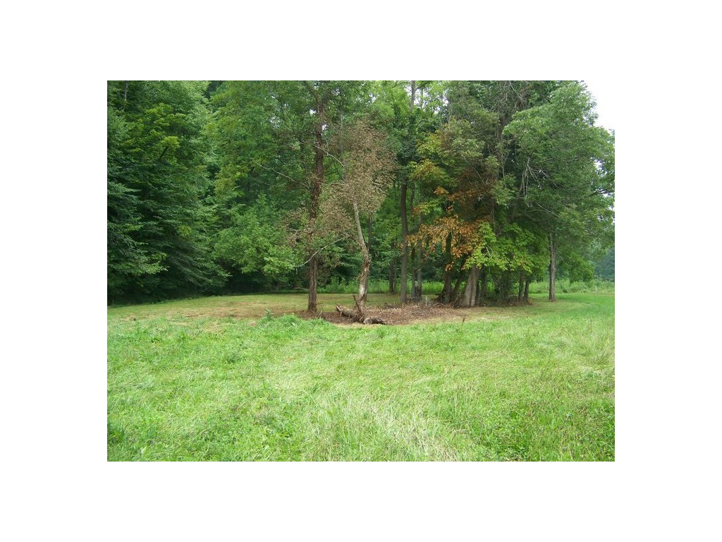 5967 Houston Valley Road Greeneville, TN 37743 - Photo 11 of 12 Photo 11