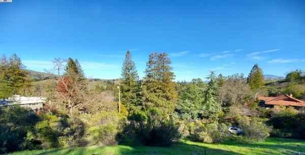 a view of a garden with trees