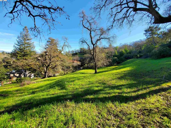 a view of a garden with a yard