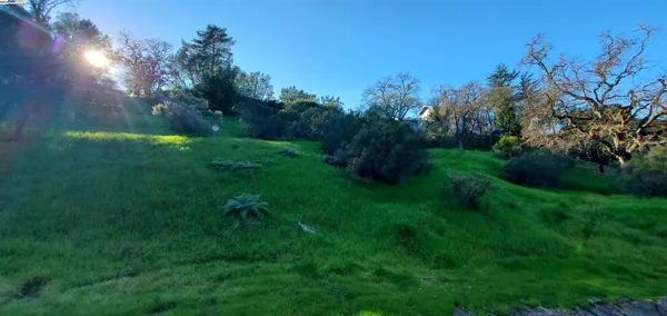 a view of yard with green space