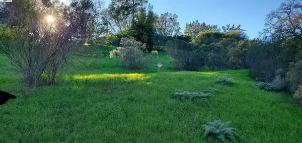 a view of yard with green space