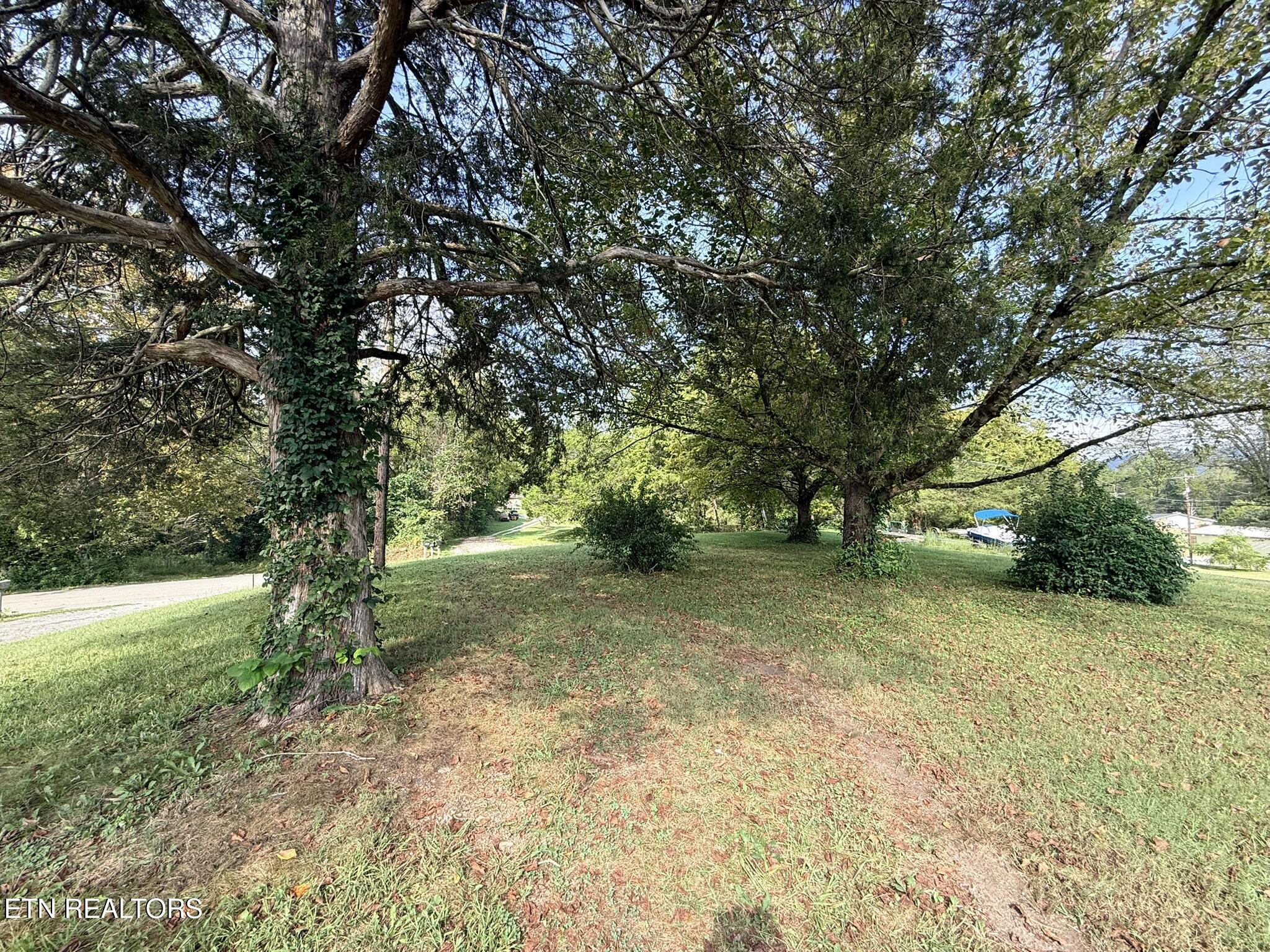 569 Carr Wynn Road La Follette, TN 37766 - Photo 11 of 17 IMG_0453