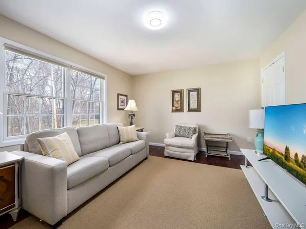 a living room with furniture a rug potted plant and a large window