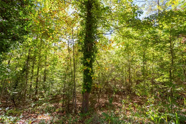 $163,000 | 426 Pin Du Lac Drive, Central, SC 29630