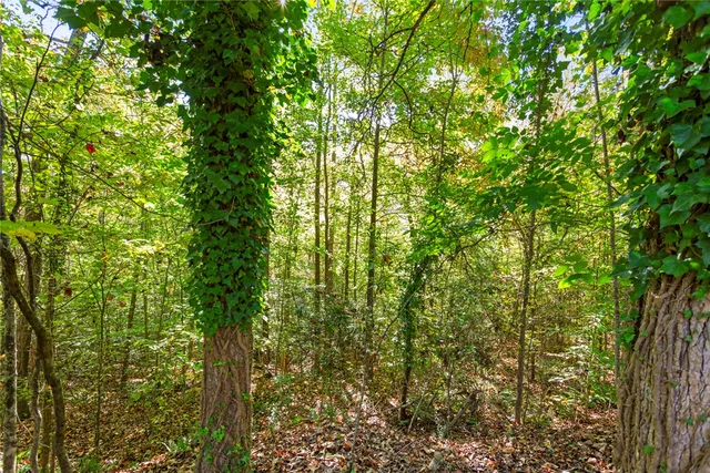 $163,000 | 426 Pin Du Lac Drive, Central, SC 29630